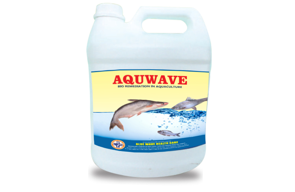 AQUWAVE (Bio Remediation in Aquaculture)